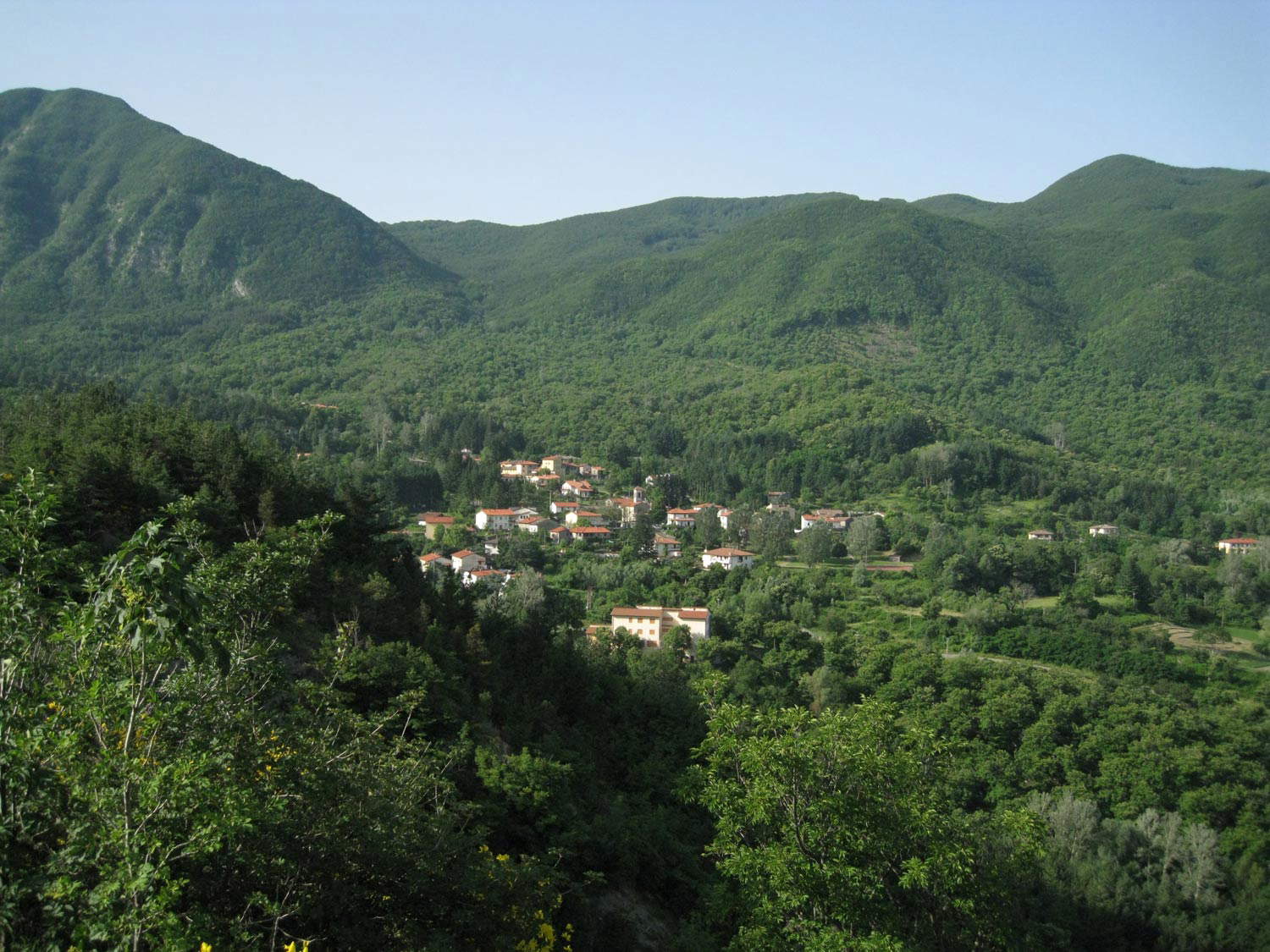 Castagno d'Andrea. Foto Parco Nazionale delle Foreste Casentinesi Castagno d'Andrea. Foto Parco Nazionale delle Foreste Casentinesi