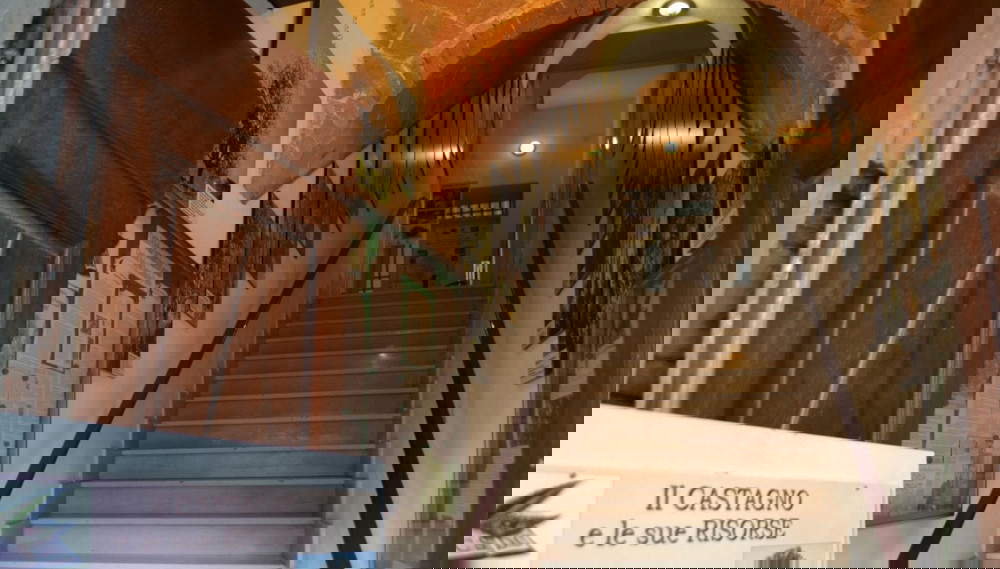 Centro di Studio e Documentazione sul castagno. Credit Mugello Toscana