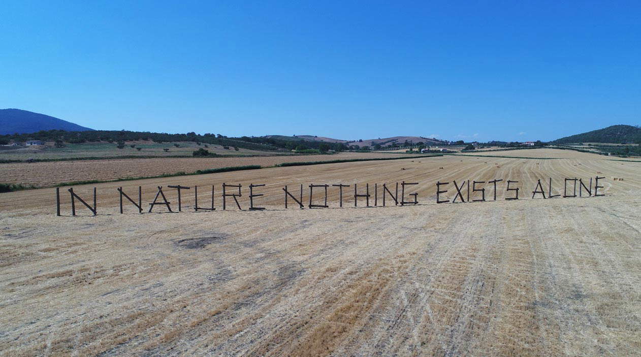 Claudia Comte, In der Natur existiert nichts allein Claudia Comte, In der Natur existiert nichts allein
