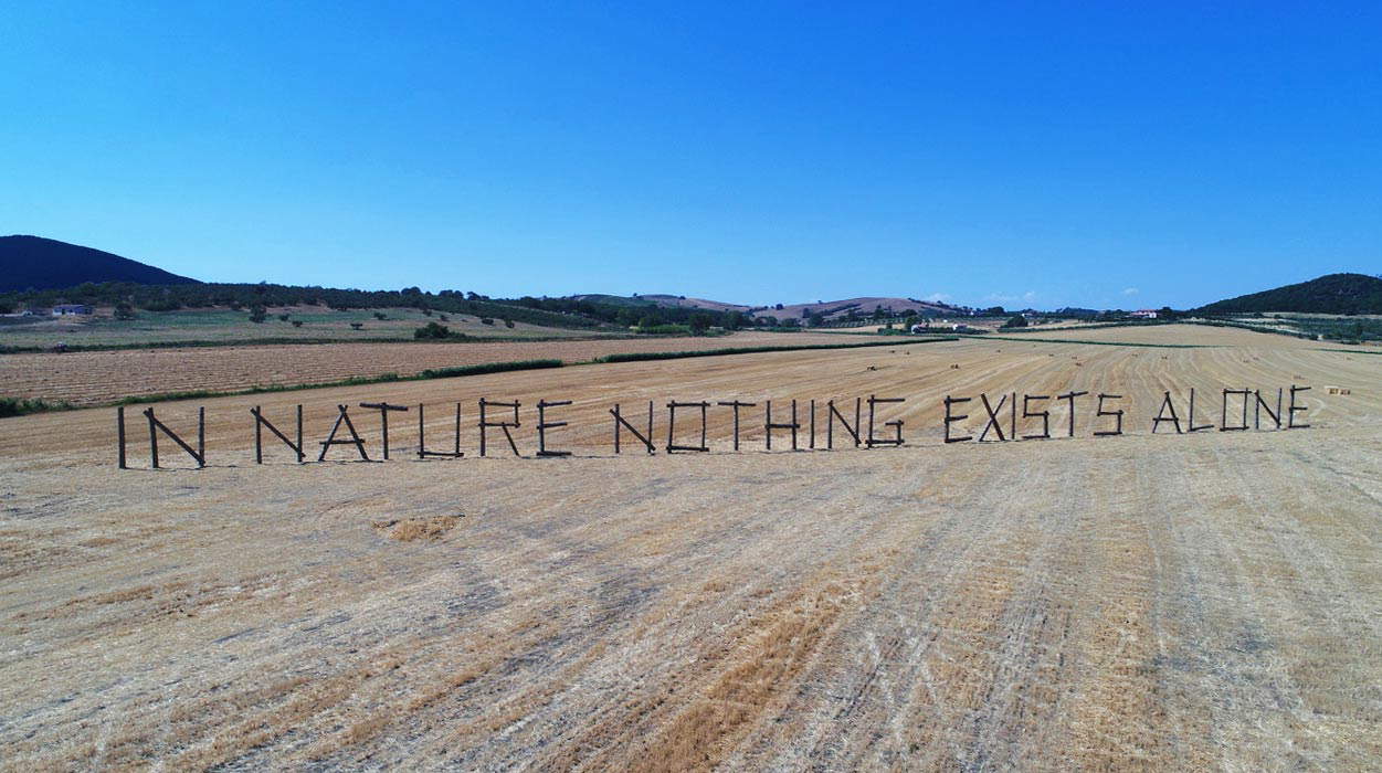 Claudia Comte, In der Natur existiert nichts allein Claudia Comte, In der Natur existiert nichts allein