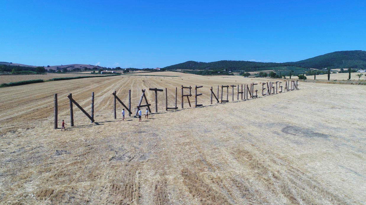 Claudia Comte, In der Natur existiert nichts allein Claudia Comte, In der Natur existiert nichts allein