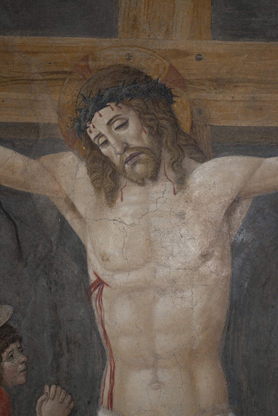 Donato Montorfano, Crucifixion, détail du Christ. Photo de Mauro Renzani Donato Montorfano, Crucifixion, détail du Christ. Photo de Mauro Renzani