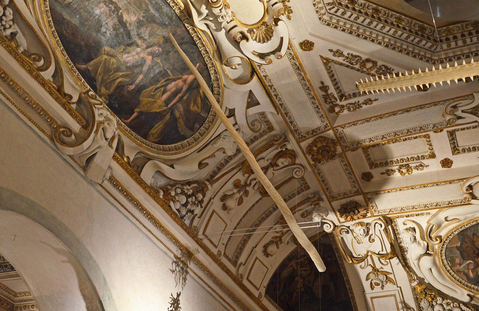 Mantoue, la Wunderkammer du Palais Ducal est enrichie d'une dent de licorne !