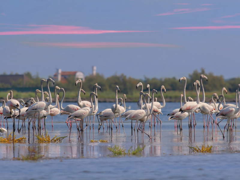 La Via delle Valli La Via delle Valli