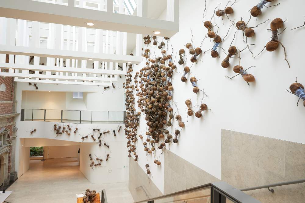 Seven hundred giant ants invade the Rijksmuseum: Rafael Gomezbarros' installation