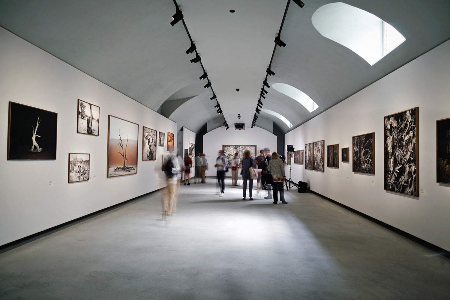 Gallerie d'Italia Turin, Palazzo Turinetti Gallerie d'Italia Turin, Palazzo Turinetti