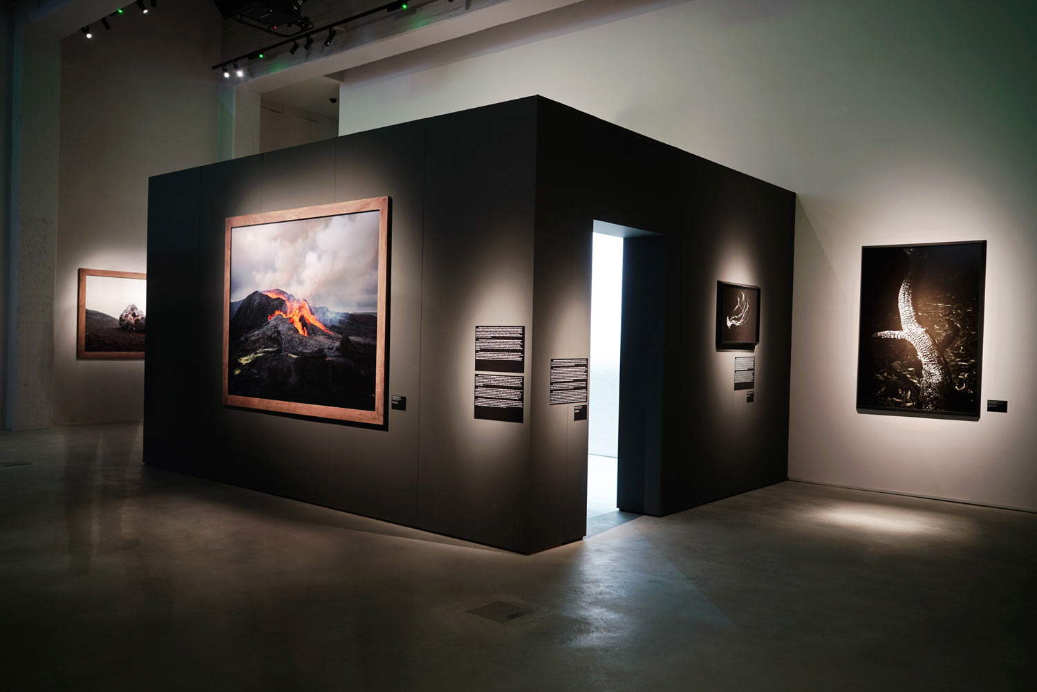 Gallerie d'Italia Turin, Palazzo Turinetti Gallerie d'Italia Turin, Palazzo Turinetti