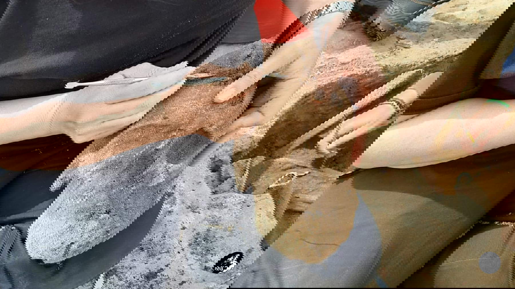 Uno de los fragmentos recién descubiertos Uno de los fragmentos recién descubiertos