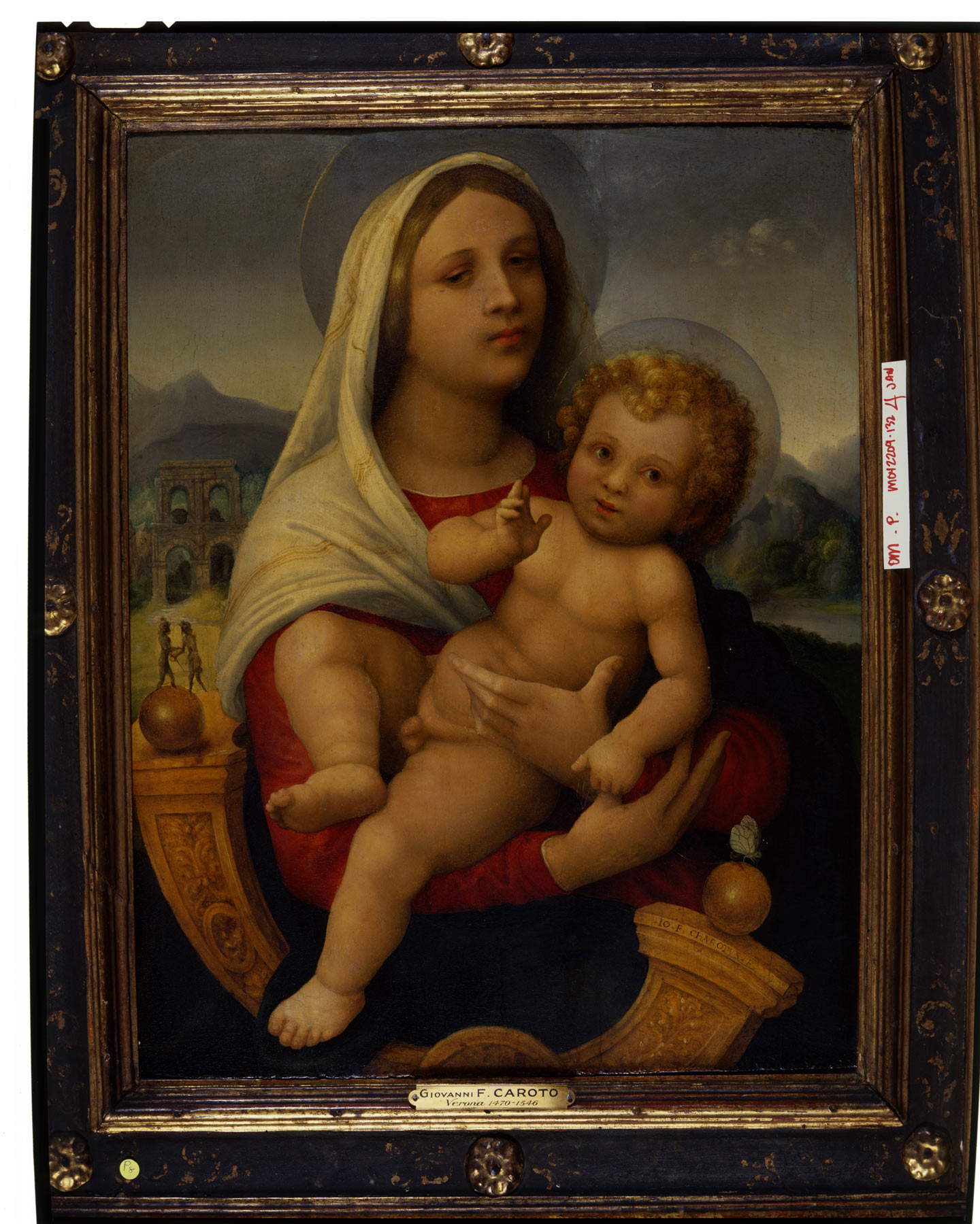 Giovan Francesco Caroto, Madonna mit Kind (Madonna des Schmetterlings) (um 1510-1515; Öl auf Tafel, 59 x 47,5 cm; Privatsammlung)