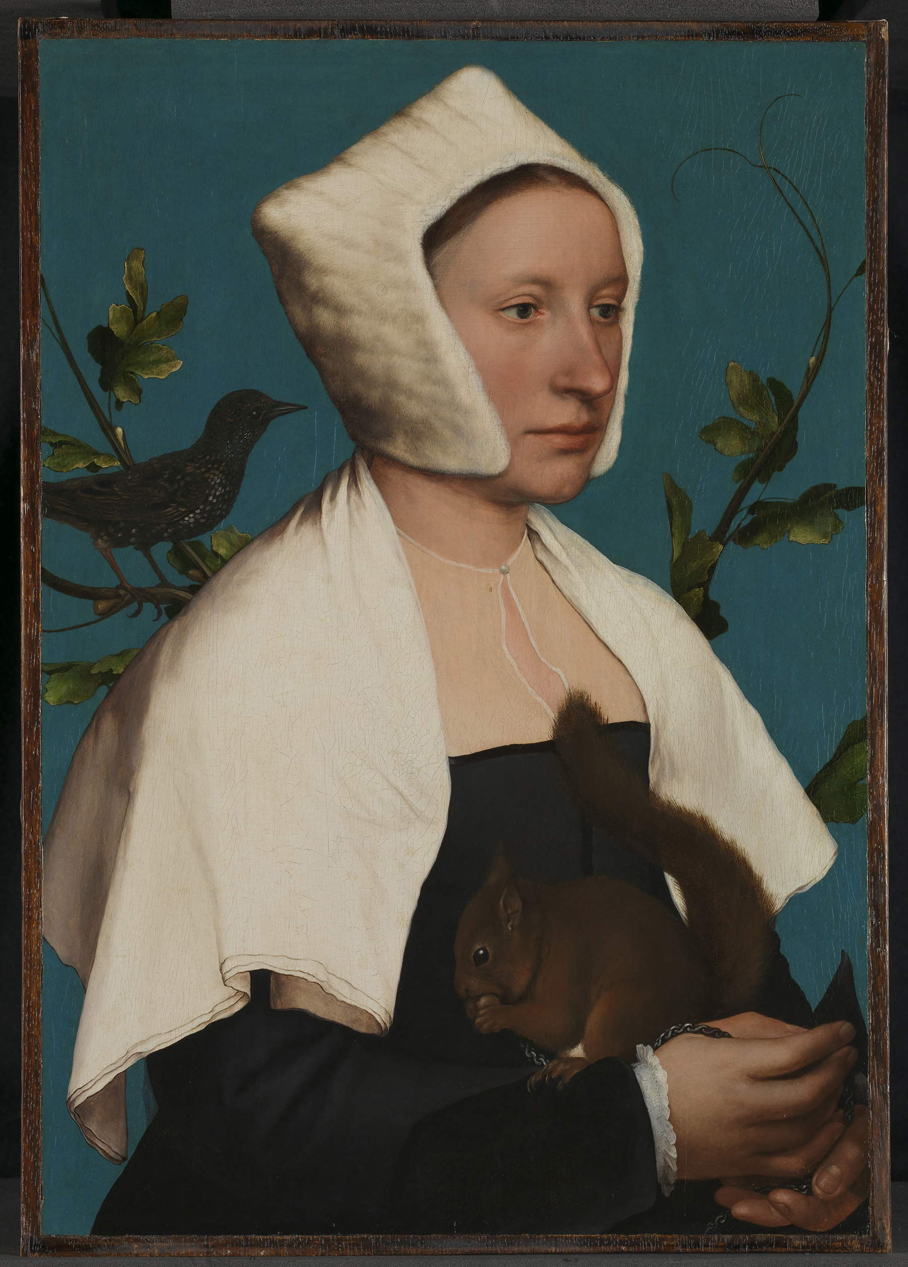 Hans Holbein, Dama con lo scoiattolo (1526-1528; olio su tavola, 56 x 38,8 cm; Londra, National Gallery) Hans Holbein, Dama con lo scoiattolo (1526-1528; olio su tavola, 56 x 38,8 cm; Londra, National Gallery)