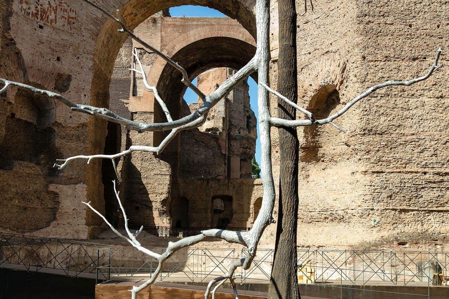 Rome, Giuseppe Penone's trees invade the Baths of Caracalla