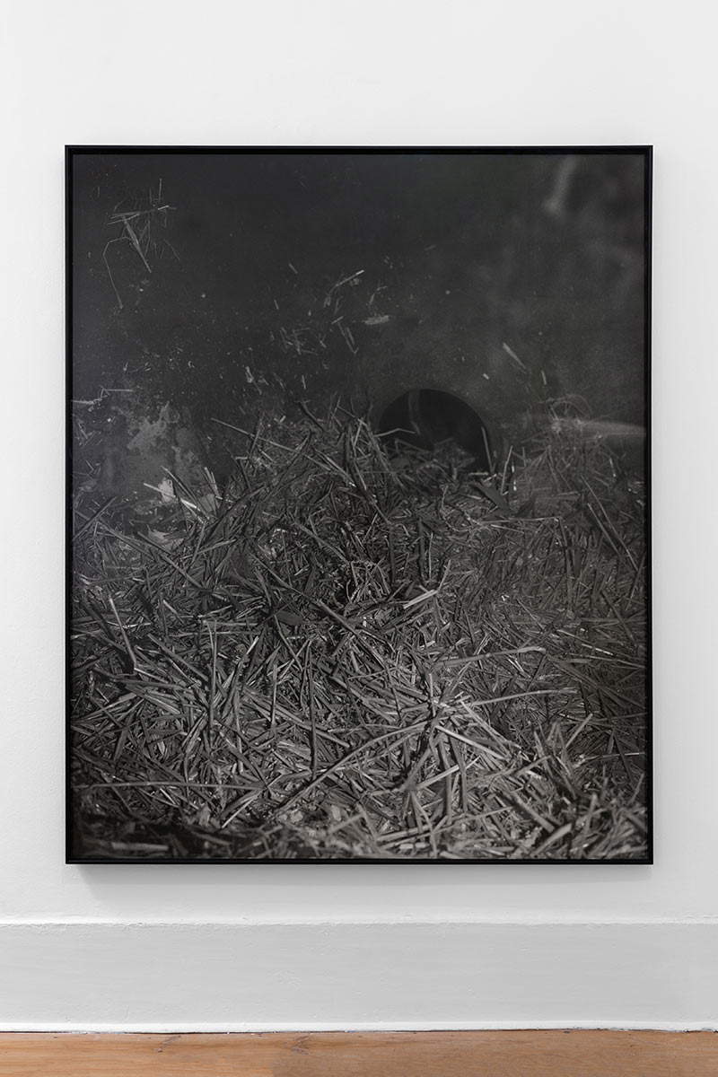 Joanna Piotrowska, Enclosure XXXI (2019; stampa alla gelatina d'argento, 130 x 110 cm, edizione 1/1). Presentato da Madragoa, Lisbona