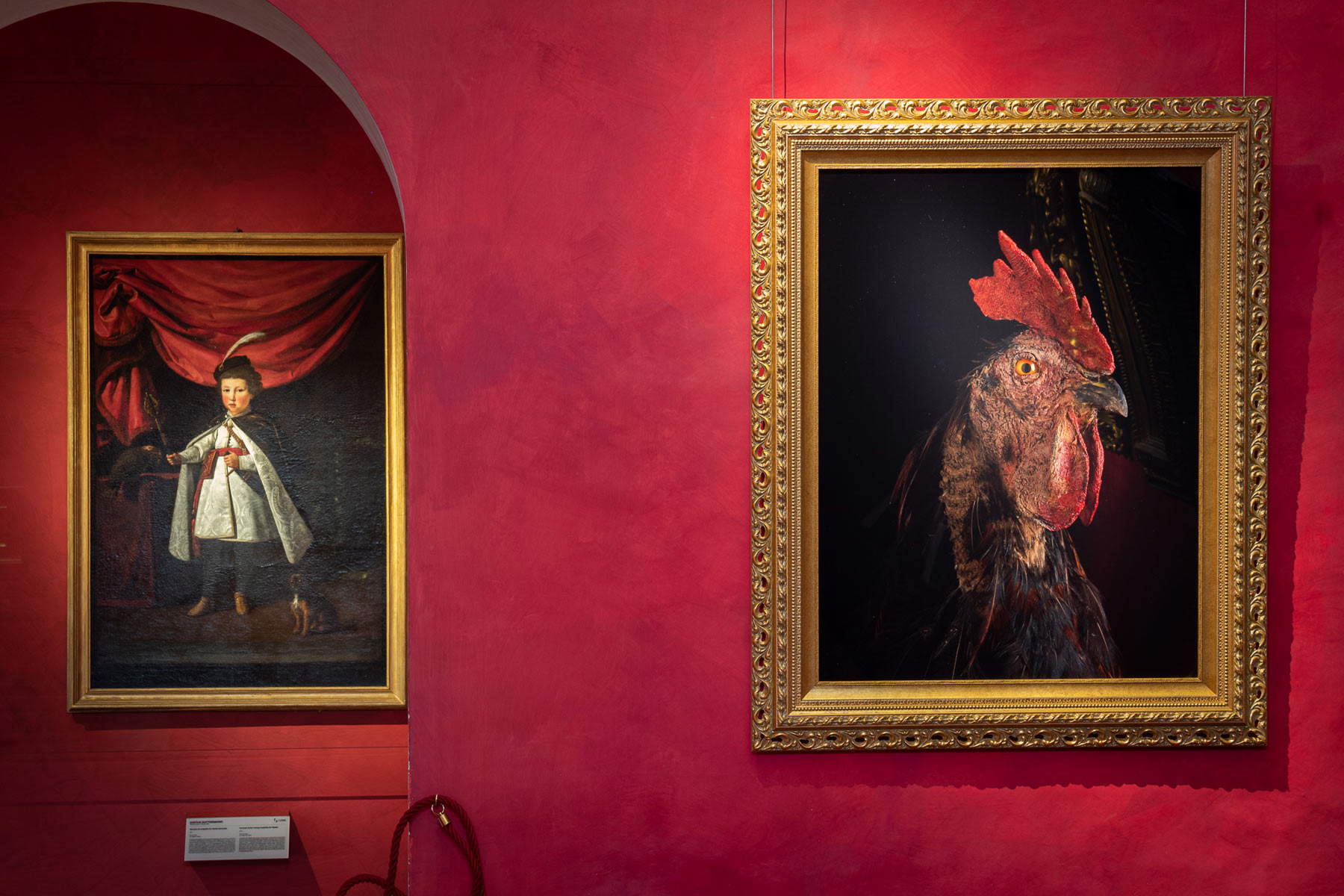 Sala de exposiciones Seducción de Koen Vanmechelen Sala de exposiciones Seducción de Koen Vanmechelen