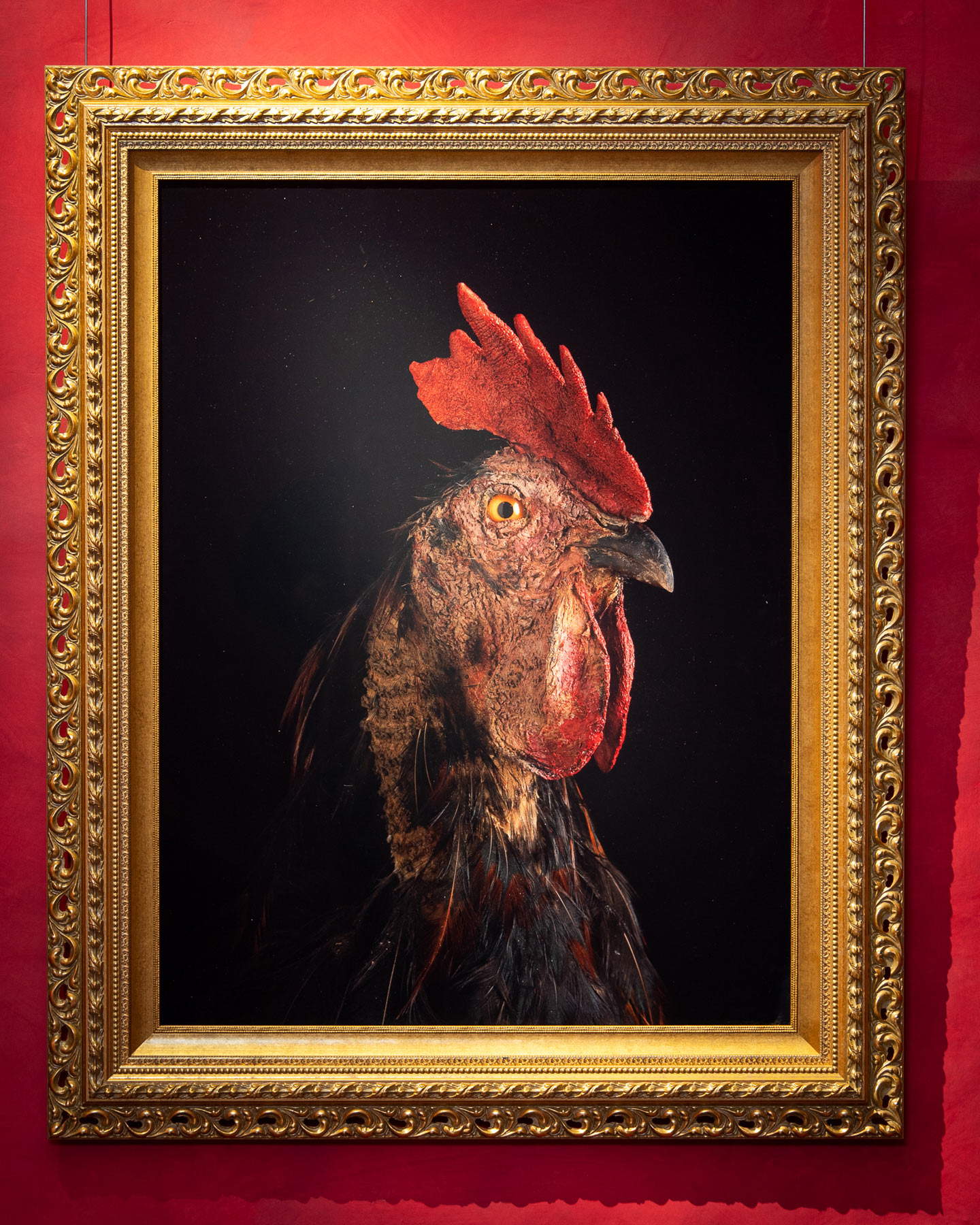 Koen Vanmechelen, Vesta - Mechelse Cubalaya - CCP11 (2021; impresión diascópica sobre acrílico, 122,9 x 153,40). Fotografía de Studio Leyssen Koen Vanmechelen, Vesta - Mechelse Cubalaya - CCP11 (2021; impresión diascópica sobre acrílico, 122,9 x 153,40). Fotografía de Studio Leyssen