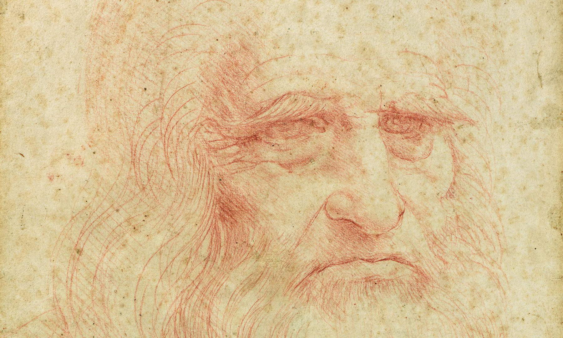 Turin L autoportrait De L onard De Vinci La Biblioth que Royale Est 