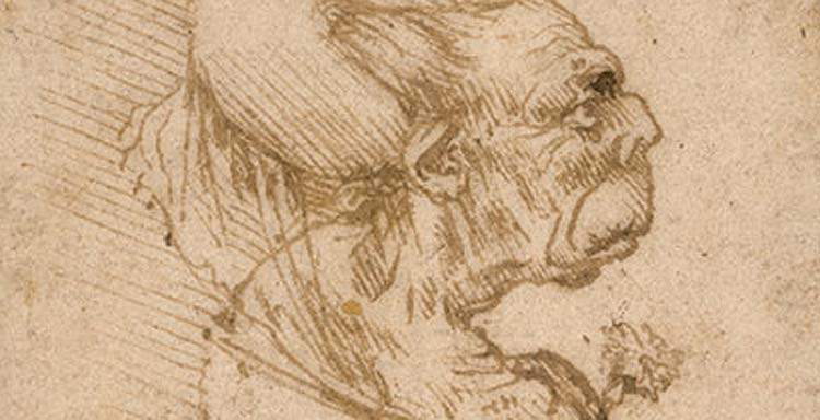 The National Gallery in Washington acquires a drawing by Leonardo da Vincni, a grotesque head