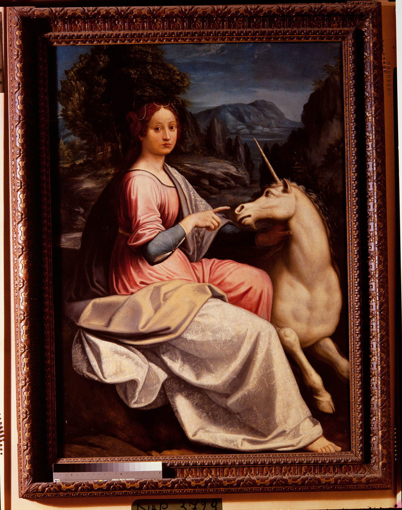 Luca Longhi, Giovane donna con unicorno (1535-1540; olio su tavola, 132 x 98 cm; Roma, Museo Nazionale di Castel Sant'Angelo) Luca Longhi, Giovane donna con unicorno (1535-1540; olio su tavola, 132 x 98 cm; Roma, Museo Nazionale di Castel Sant'Angelo)
