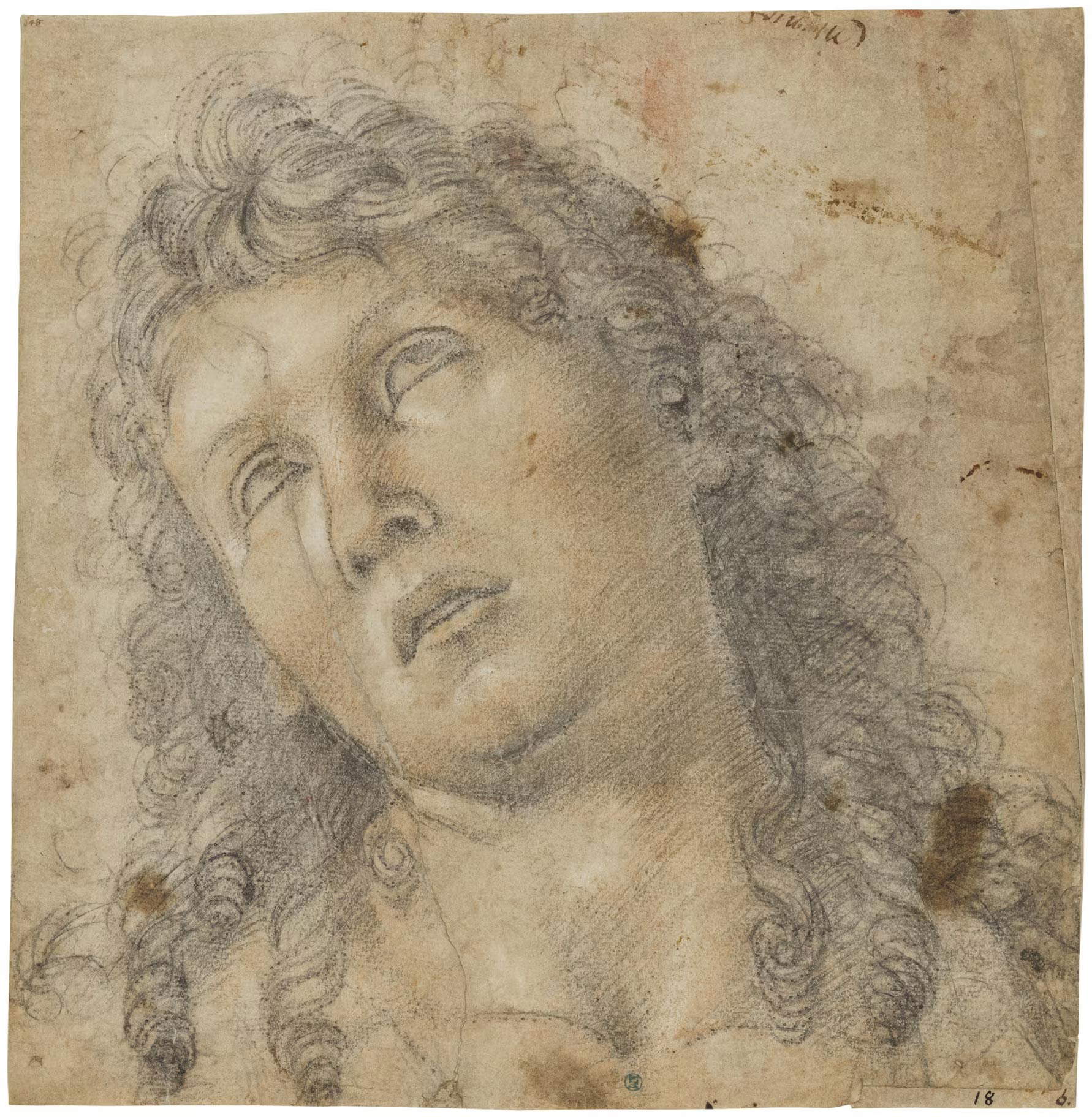 Luca Signorelli, Cabeza de San Juan Bautista (1483-1484; tiza en blanco y negro sobre papel; Estocolmo, Nationalmuseum) Luca Signorelli, Cabeza de San Juan Bautista (1483-1484; tiza en blanco y negro sobre papel; Estocolmo, Nationalmuseum)