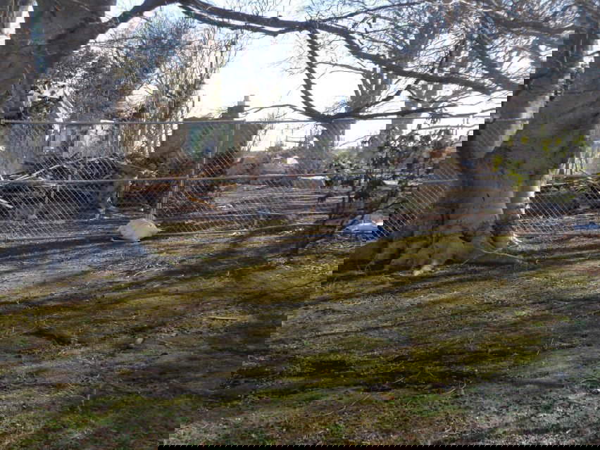 Geller Haus I demolita. Foto della citt&agrave; di Hempstead pubblicata da Dezeen