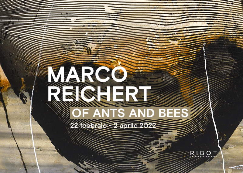 Milano, Ribot presenta “Of ants and bees”, personale del tedesco Marco Reichert