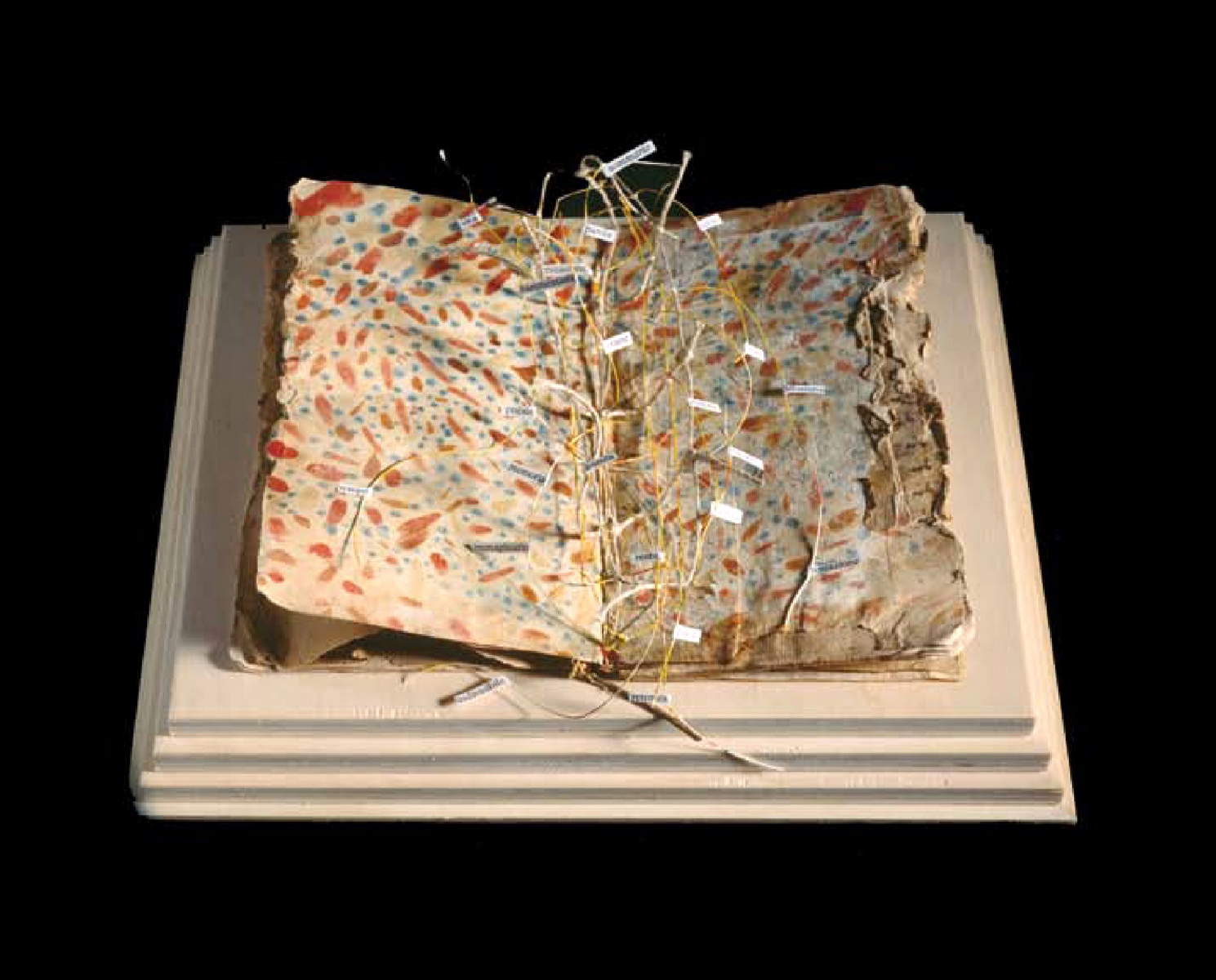 Mauro Manfredi, Libro-oggetto (1993)