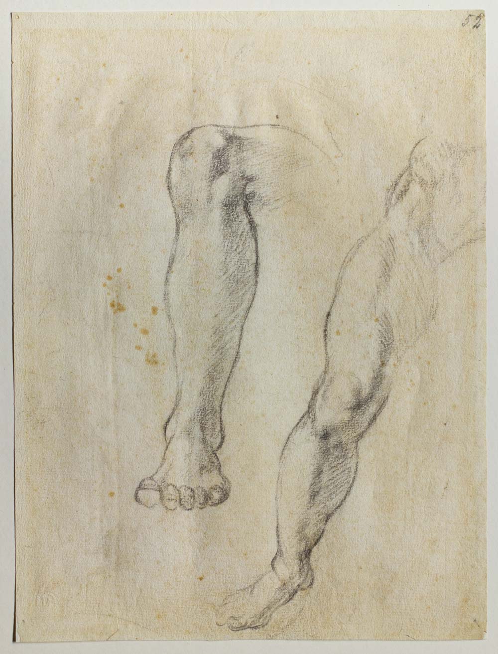Michelangelo Buonarroti, Studies of legs for the Sistine Vault (c. 1509-1510; black pencil, 260 × 196 mm; Florence, Casa Buonarotti, inv. 52 F) Michelangelo Buonarroti, Studies of legs for the Sistine Vault (c. 1509-1510; black pencil, 260 × 196 mm; Florence, Casa Buonarotti, inv. 52 F)