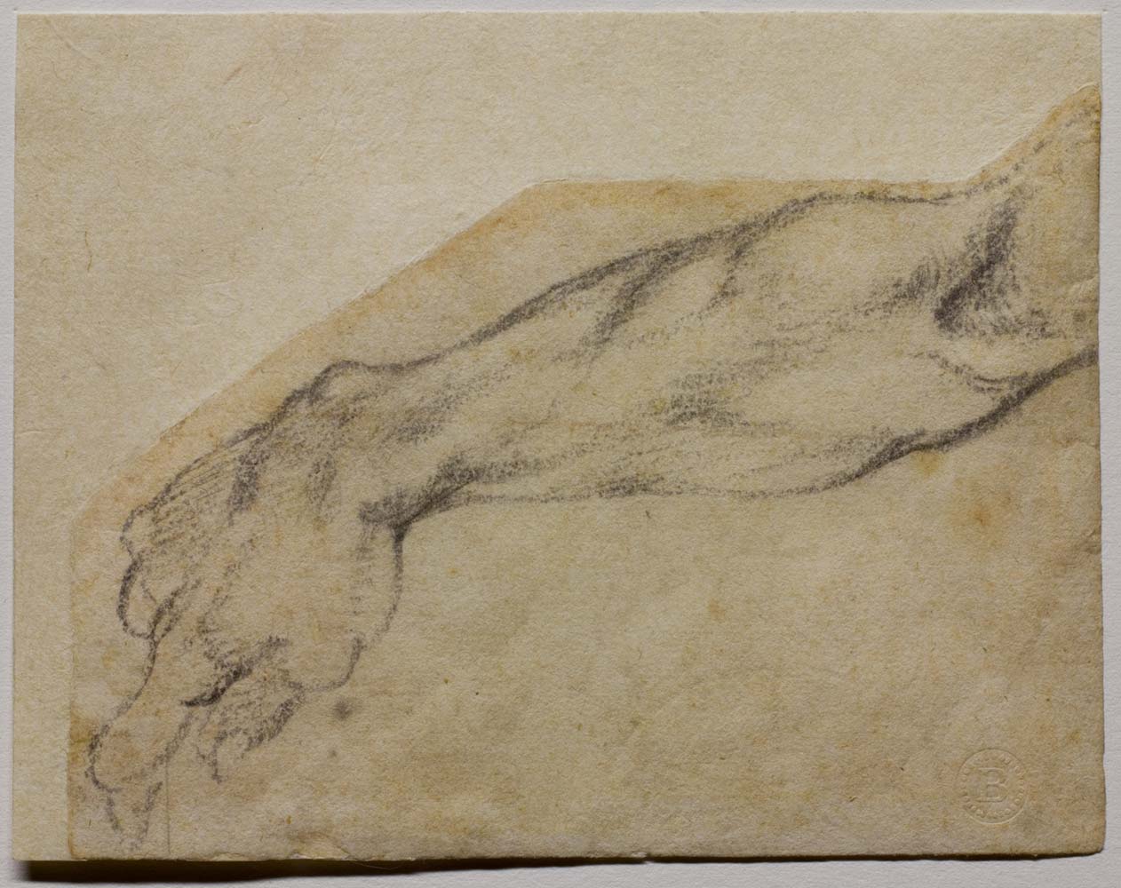 Michelangelo Buonarroti, Study of an arm for a figure in the Sistine Vault (c. 1509-1510; black pencil, 98 × 131 mm; Florence, Casa Buonarroti, inv. 8 F) Michelangelo Buonarroti, Study of an arm for a figure in the Sistine Vault (c. 1509-1510; black pencil, 98 × 131 mm; Florence, Casa Buonarroti, inv. 8 F)