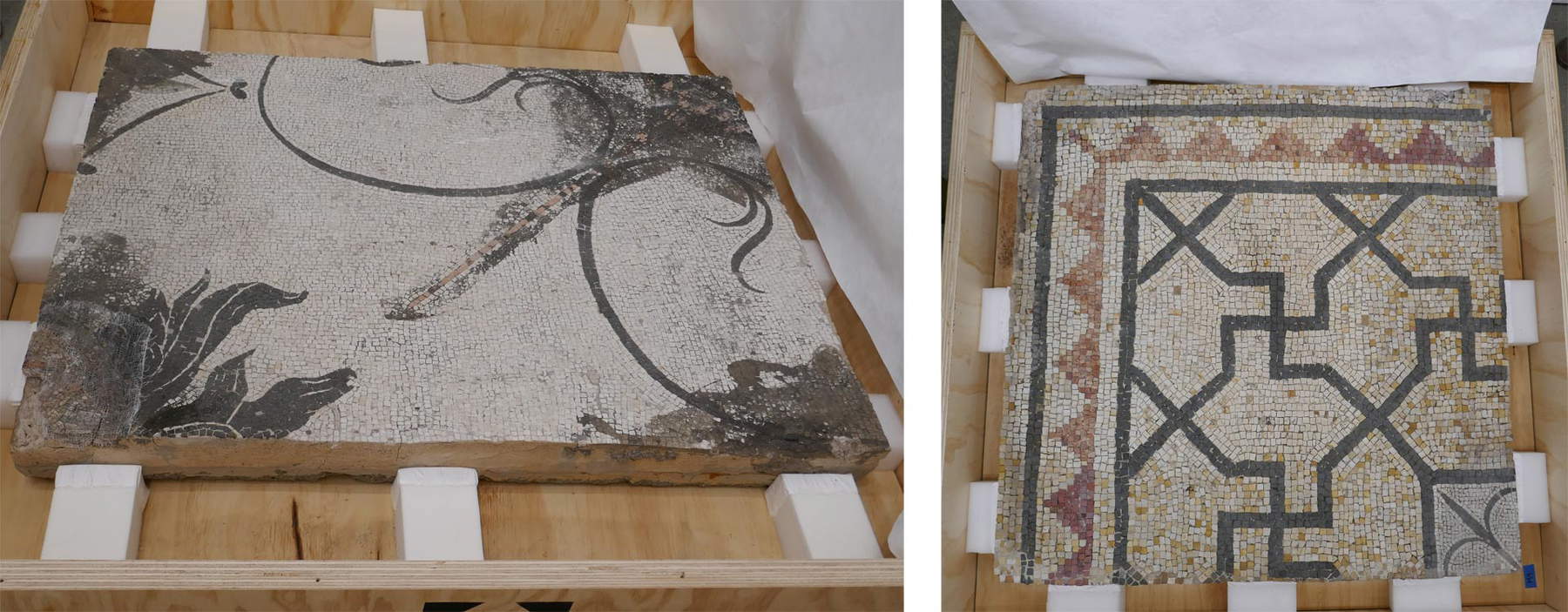 Two fragments of the mosaic