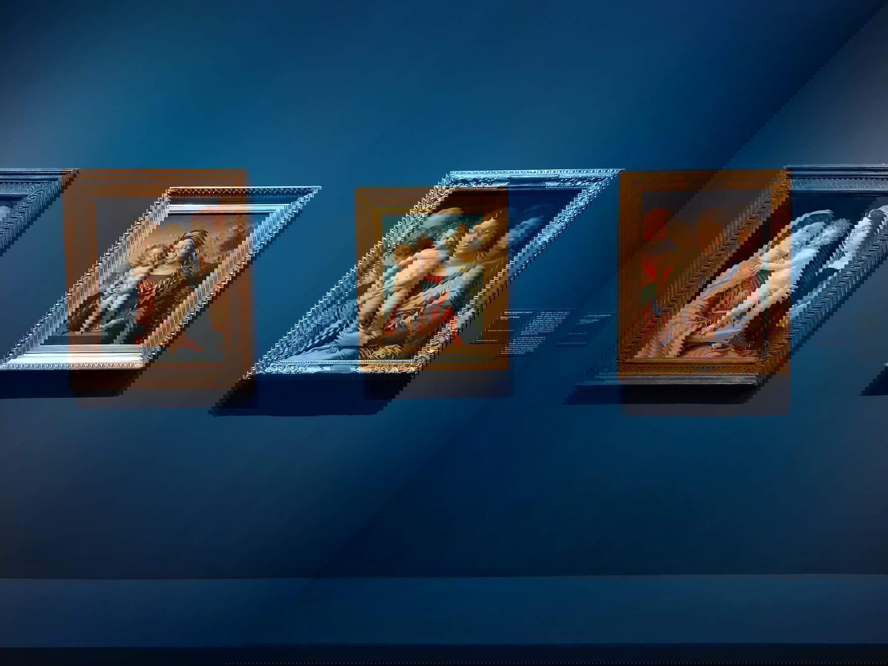 Giovan Francesco Caroto al Palazzo della Gran Guardia (Verona)