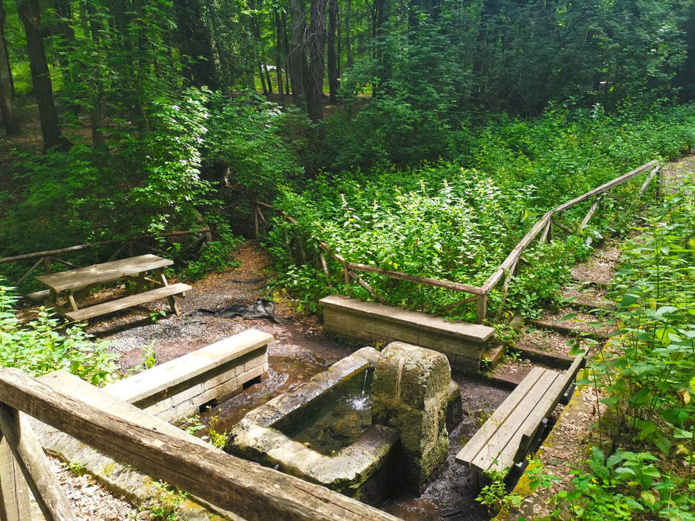 The archaeological nature park of Turona The archaeological nature park of Turona
