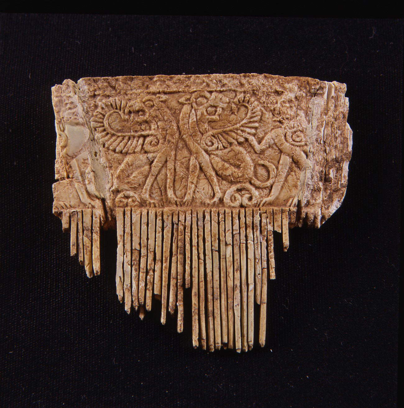 Ivory comb with winged lions from the Poggione necropolis Ivory comb with winged lions from the Poggione necropolis