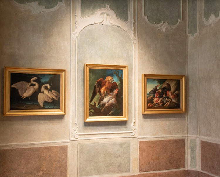 Il nuovo allestimento del Settecento alla Pinacoteca Tosio Martinengo