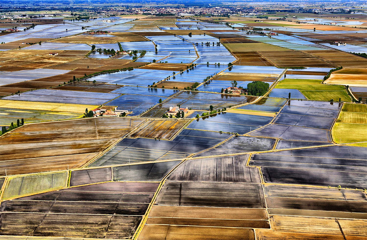 Il mare a quadretti delle risaie Il mare a quadretti delle risaie