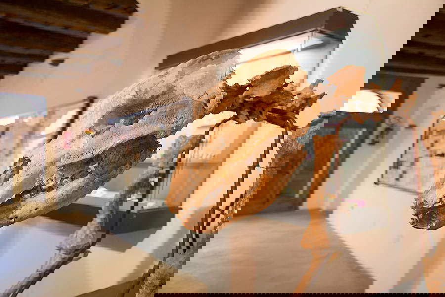 El esqueleto de un oso cavernario del Museo de Prehistoria de la Montaña de Cetona