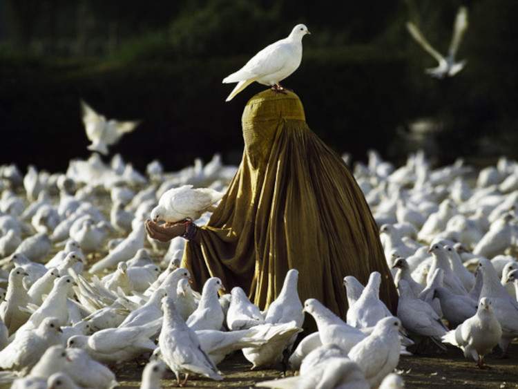 À Palerme, l'exposition de Steve McCurry dénonce la liberté des femmes afghanes