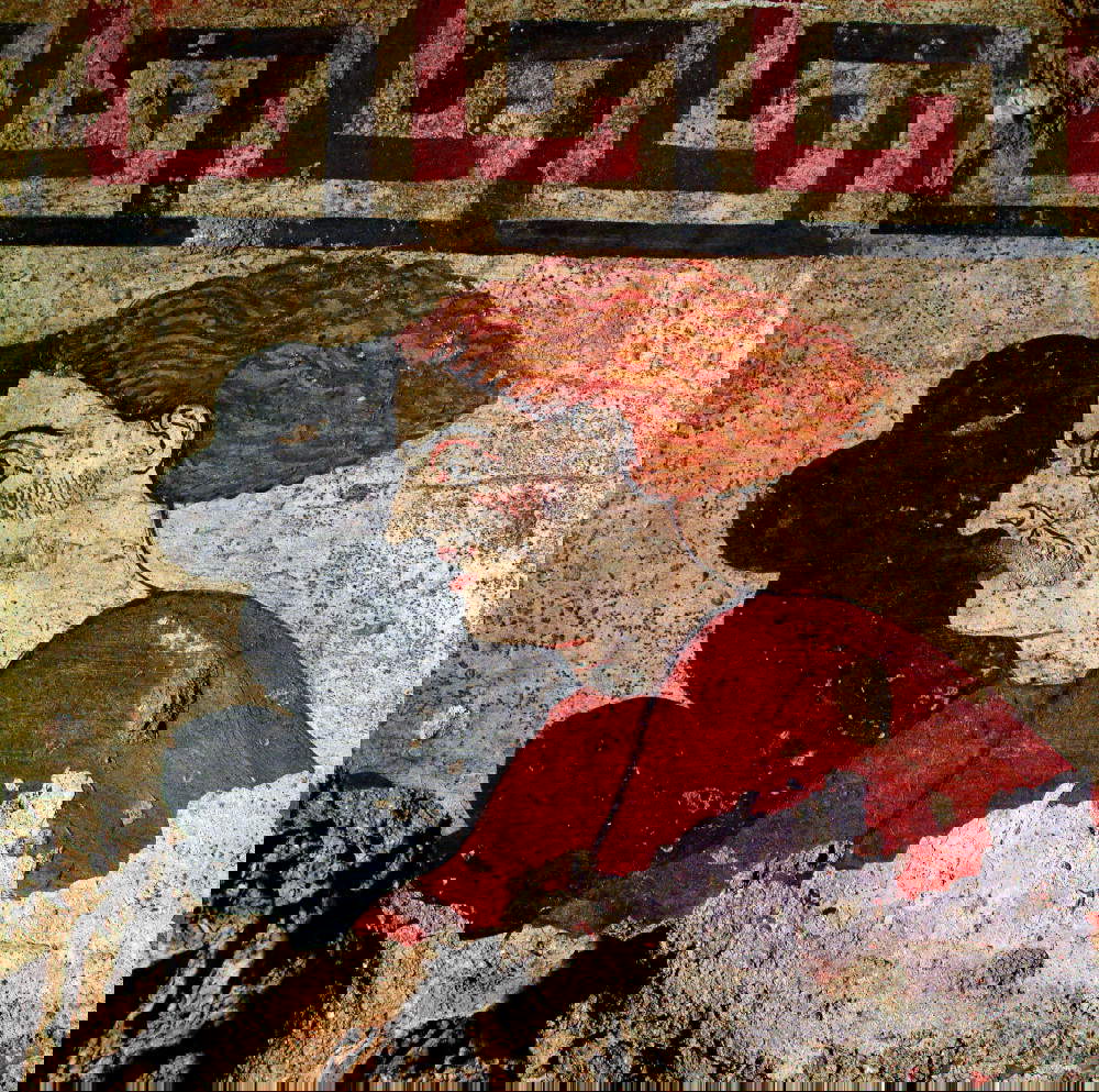 Tumba de la Cuadriga Infernal, detalle del demonio (Sarteano, Museo Arqueológico)