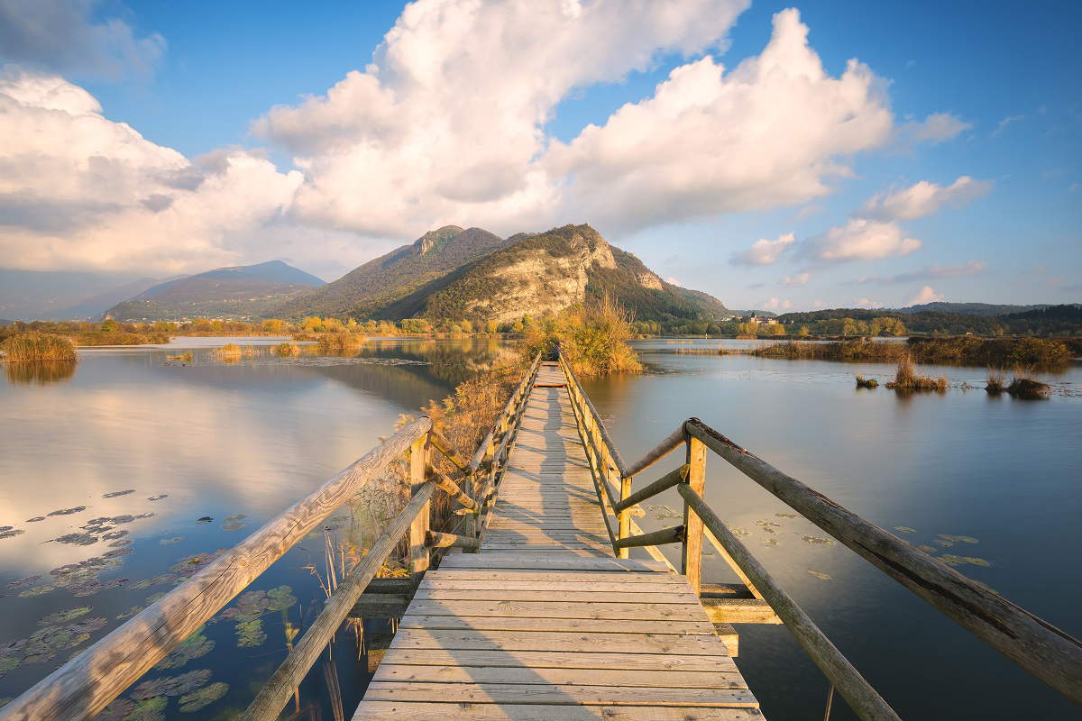 Le torbiere del Sebino. Foto Brescia Tourism/Michele Rossetti Le torbiere del Sebino. Foto Brescia Tourism/Michele Rossetti