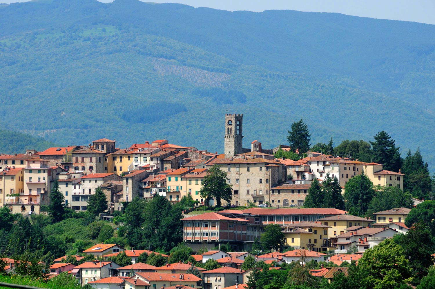 Veduta di Bibbiena. Foto Parco Nazionale delle Foreste Casentinesi Veduta di Bibbiena. Foto Parco Nazionale delle Foreste Casentinesi