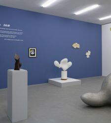 Sono nato in una nuvola riapre la stagione espositiva della Fondazione Marguerite Arp a Locarno 