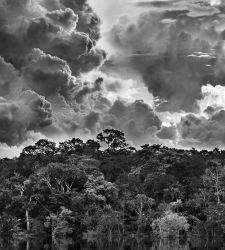 L'Amazzonia di Sebastião Salgado è in mostra al MAXXI di Roma