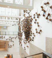 Setecientas hormigas gigantes invaden el Rijksmuseum: la instalación de Rafael Gomezbarros