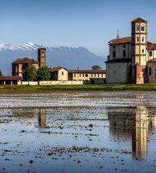 Vercelli, five beautiful parishes surrounded by rice fields