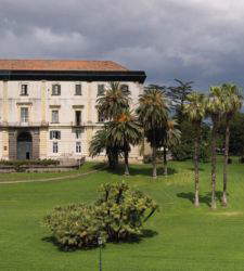 Lia Rumma donates important selection of her collection to Capodimonte Museum