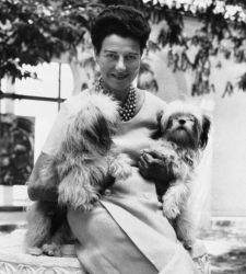 Venice, a concert for Peggy Guggenheim's birthday