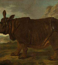El Rijksmuseum de Ámsterdam dedica una exposición al rinoceronte más famoso de la historia 