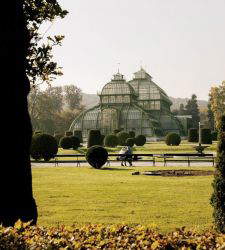Otoño en Viena, entre el follaje y el parque de Schönbrunn 