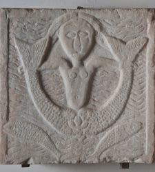 Animals and fantastic places in Italy's museums: Friuli-Venezia Giulia