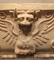 Animals and fantastic places in Italy's museums: Molise
