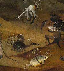 Animals and fantastic places in the museums of Italy: Veneto