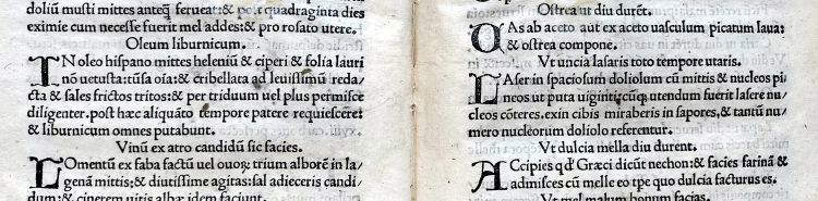 Was man im alten Rom a&szlig;: Rezepte aus Apicius' De Re Coquinaria